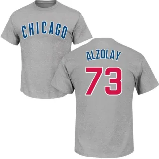 Men's Chicago Cubs Adbert Alzolay Gray Roster T-Shirt