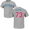 Men's Chicago Cubs Adbert Alzolay Gray Roster T-Shirt