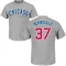 Men's Chicago Cubs Michael Hermosillo Gray Roster T-Shirt