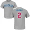 Men's Chicago Cubs Nico Hoerner Gray Roster T-Shirt