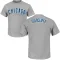 Youth Chicago Cubs Rick Sutcliffe Gray Roster T-Shirt