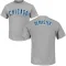 Youth Chicago Cubs Ryan Dempster Gray Roster T-Shirt