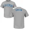 Youth Chicago Cubs Shawon Dunston Gray Roster T-Shirt